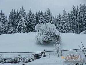 image_24