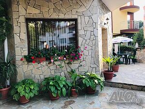 image_37