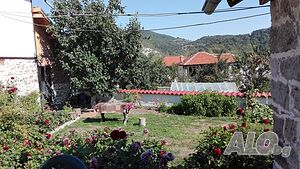 image_17