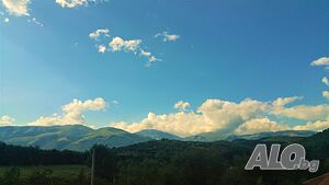 image_31