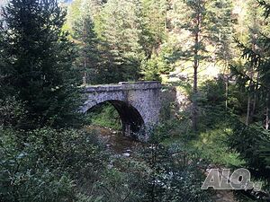image_16