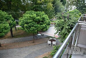 image_25