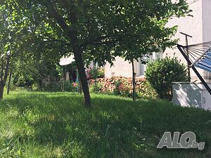image_37