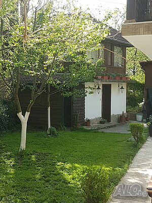 image_38