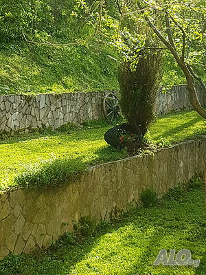 image_31