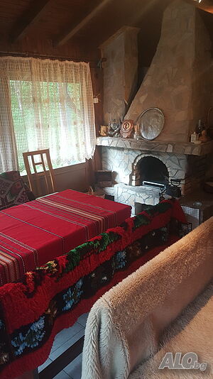 image_41