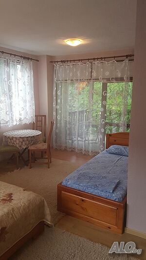 image_49