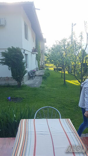 image_8