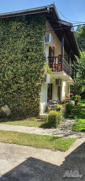 image_11