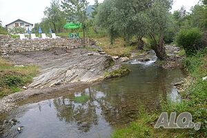 image_9