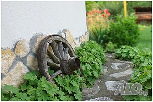 image_25