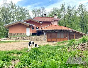 image_24
