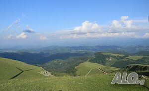 image_8