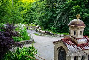 image_12