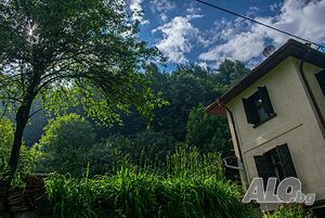 image_17