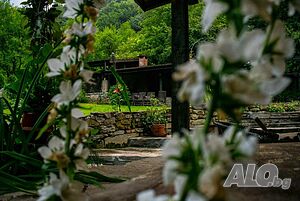 image_18