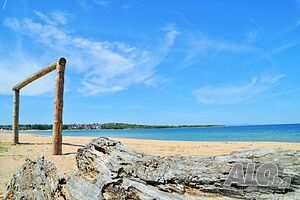 image_11