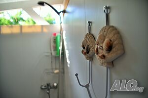 image_35