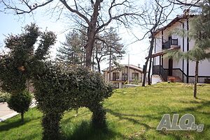 image_7