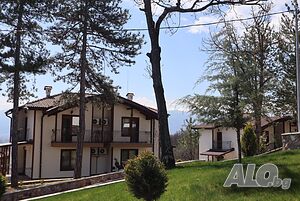 image_46