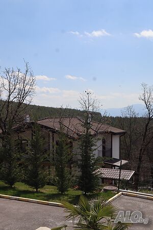 image_49