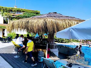 image_24