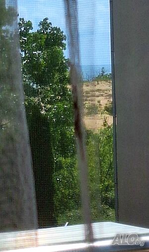image_52