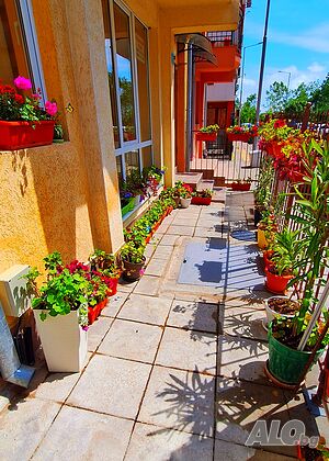 image_54