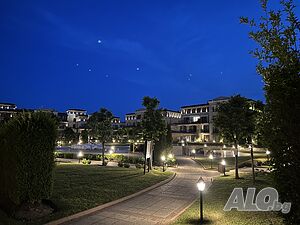 image_37