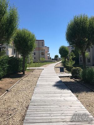 image_36