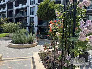 image_8
