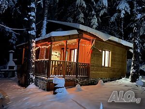 image_19