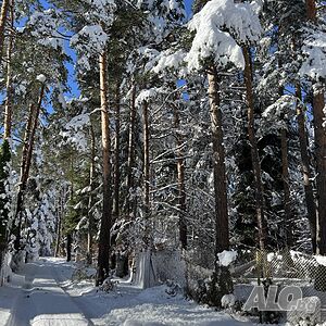 image_21