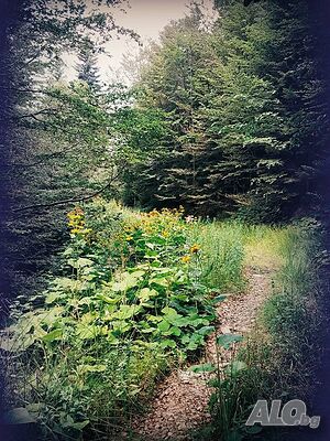 image_27