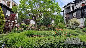 image_22