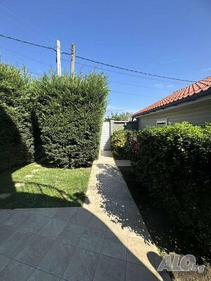 image_11