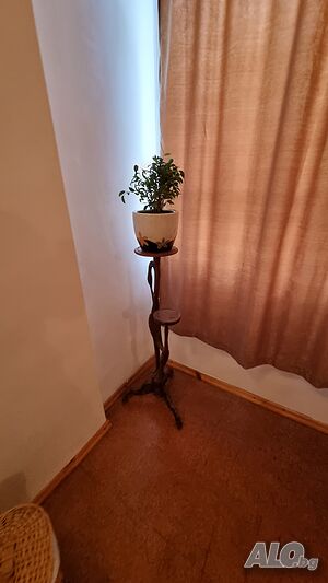 image_4