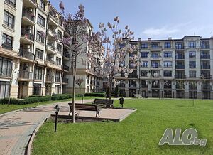 image_17