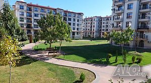 image_11