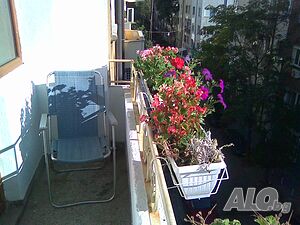 image_10