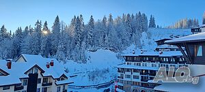image_12
