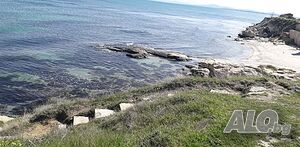 image_11