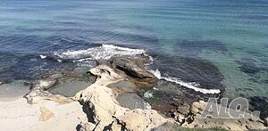 image_12