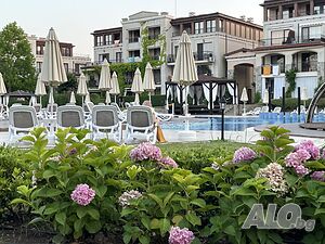 image_36