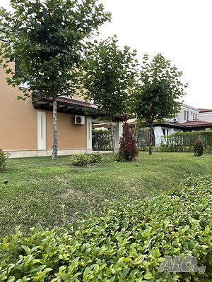 image_51
