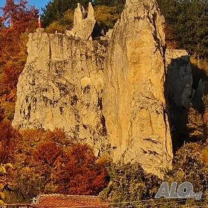 image_23
