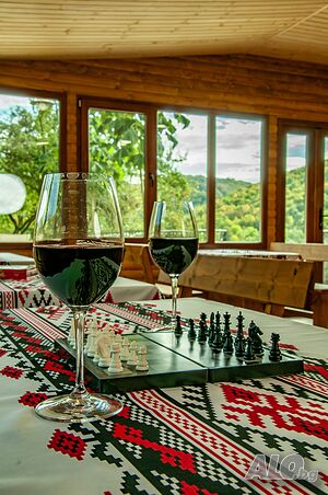  Къща за гости ”Трявна”