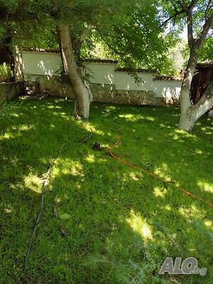 image_12