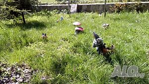 image_27