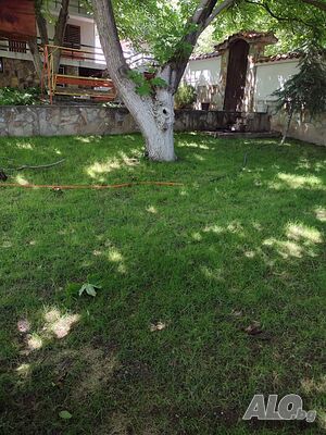 image_40